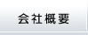 ЊTv