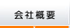 ЊTv